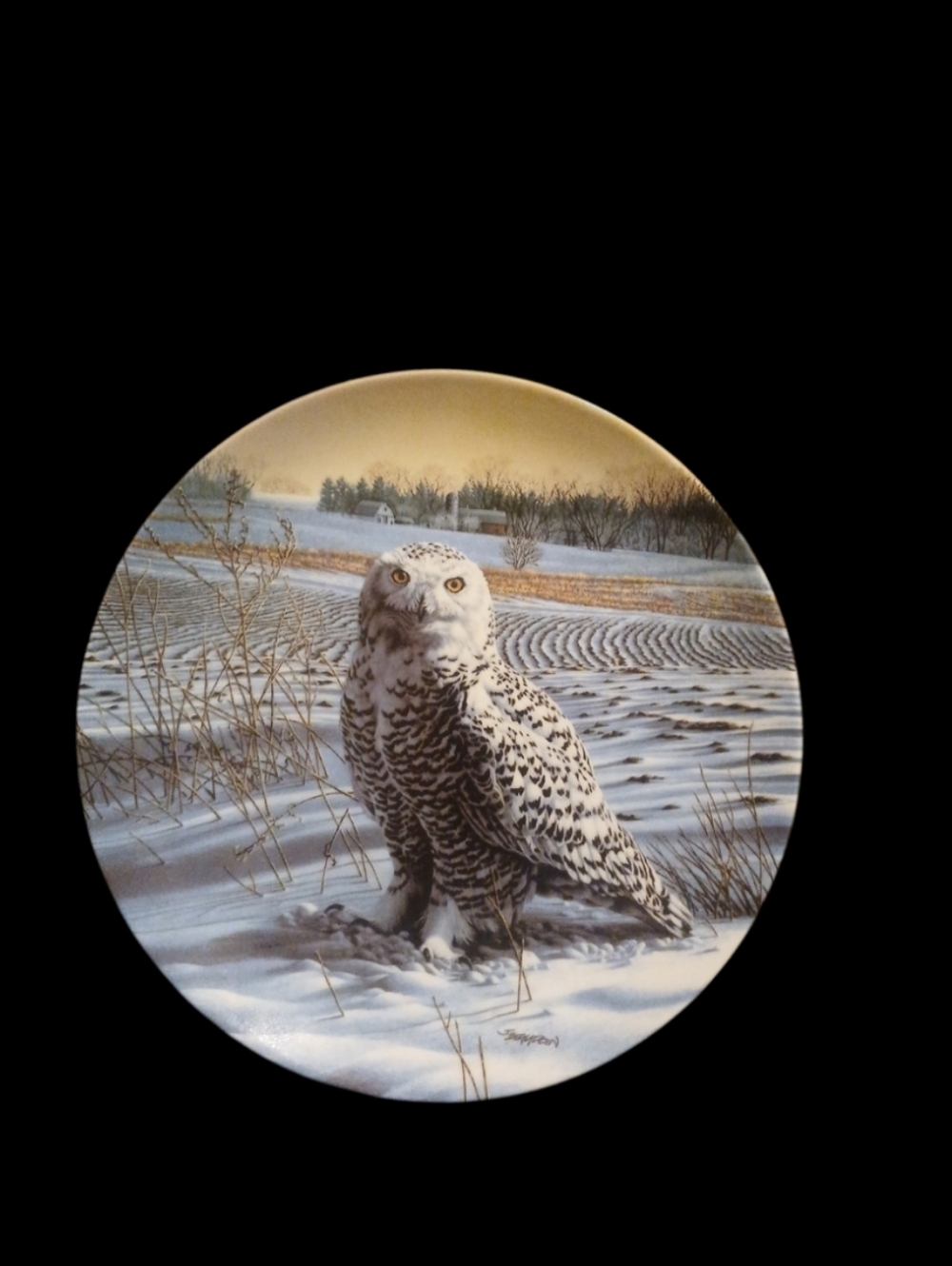 Snowy Owl Art Plate - White and Brown Scenic Print